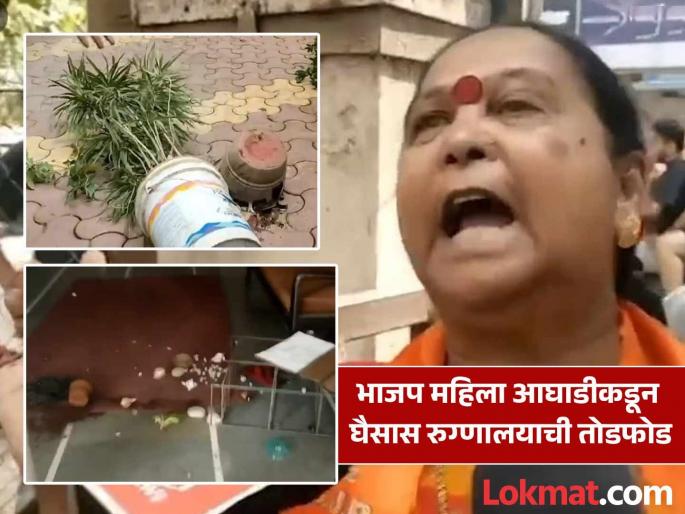This tragedy took the life of a woman action must be taken BJP women's front vandalizes 'that' hospital | Video: या घैसासने महिलेचा जीव घेतला; कारवाई झाली पाहिजे, भाजप महिला आघाडीकडून 'त्या' रुग्णालयाची तोडफोड This tragedy took the life of a woman action must be taken BJP women's front vandalizes 'that' hospital | Video: या घैसासने महिलेचा जीव घेतला; कारवाई झाली पाहिजे, भाजप महिला आघाडीकडून 'त्या' रुग्णालयाची तोडफोड