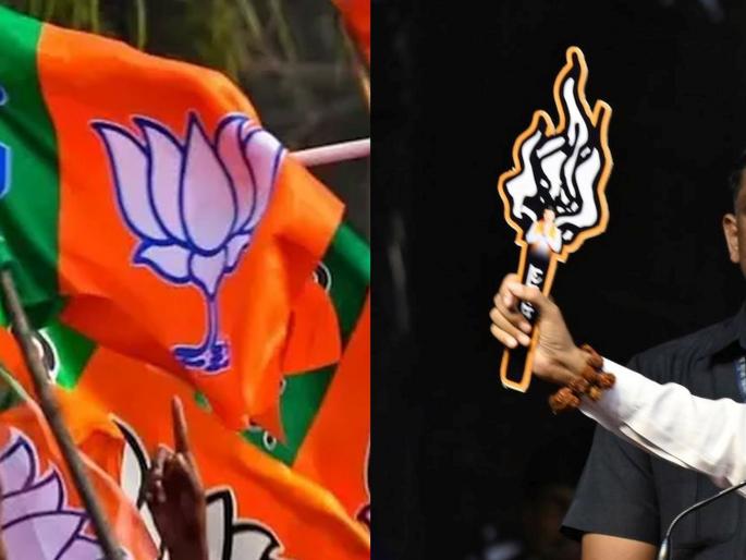 Maharashtra Assembly vidhan sabha Election: Clash between Uddhav Sena and BJP workers on charges of money distribution in Nashik, 2 injured  | नाशिकमध्ये पैसे वाटपाच्या आरोपातून उद्धवसेना व भाजपाच्या कार्यकर्त्यांमध्ये राडा, 2 जण जखमी  Maharashtra Assembly vidhan sabha Election: Clash between Uddhav Sena and BJP workers on charges of money distribution in Nashik, 2 injured  | नाशिकमध्ये पैसे वाटपाच्या आरोपातून उद्धवसेना व भाजपाच्या कार्यकर्त्यांमध्ये राडा, 2 जण जखमी