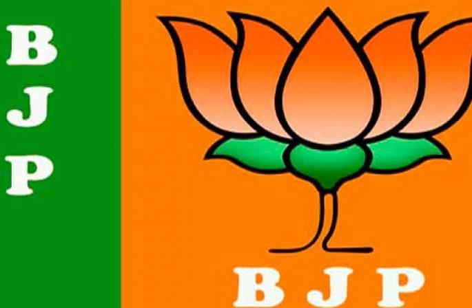 BJP's 'Team' announcement for the elections in Nagpur | नागपुरात निवडणुकांसाठी भाजपाच्या ‘टीम’ची घोषणा BJP's 'Team' announcement for the elections in Nagpur | नागपुरात निवडणुकांसाठी भाजपाच्या ‘टीम’ची घोषणा