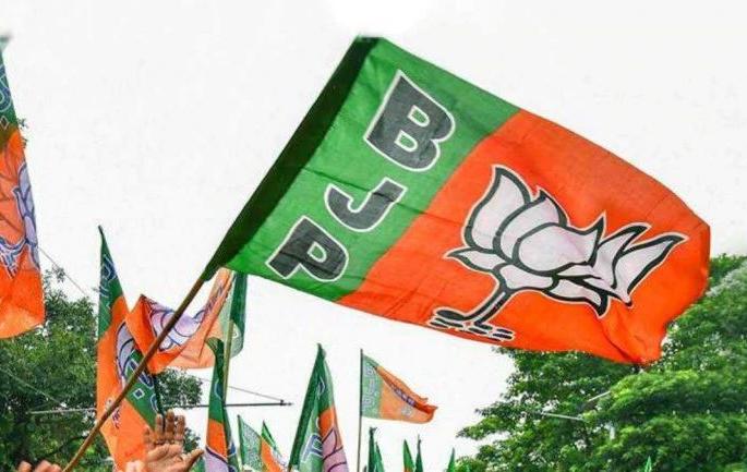 Who will get the BJP's nomination? Core Committee meeting on Saturday | कुणाला मिळणार भाजपची उमेदवारी ? शनिवारी कोअर कमिटीची बैठक Who will get the BJP's nomination? Core Committee meeting on Saturday | कुणाला मिळणार भाजपची उमेदवारी ? शनिवारी कोअर कमिटीची बैठक