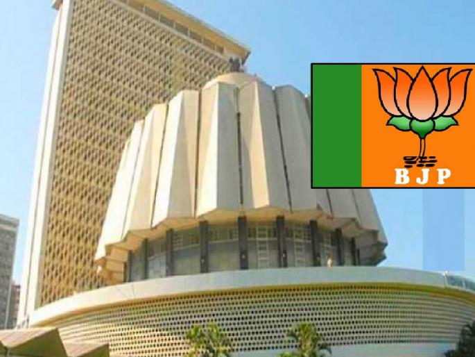 Preparations for Kolhapur North Vidhan Sabha Constituency started in BJP | कोल्हापूर उत्तर विधानसभा मतदारसंघासाठी भाजपमध्येच रस्सीखेच, मोर्चेबांधणी सुरु Preparations for Kolhapur North Vidhan Sabha Constituency started in BJP | कोल्हापूर उत्तर विधानसभा मतदारसंघासाठी भाजपमध्येच रस्सीखेच, मोर्चेबांधणी सुरु