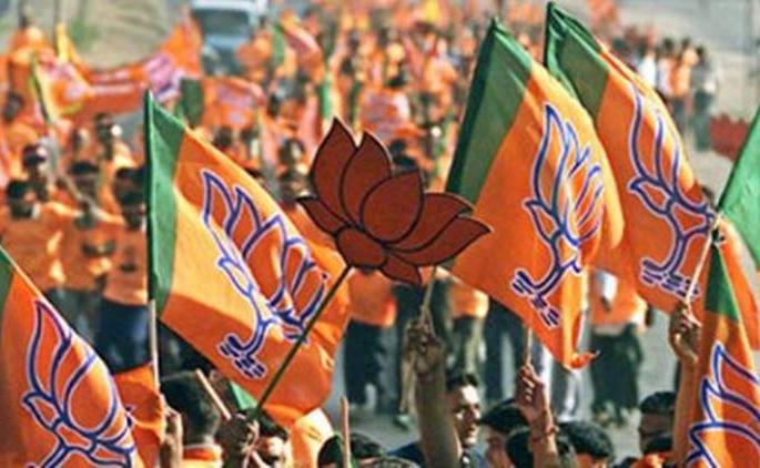Trying to cool dispute in Goa BJP | गोवा भाजपातील कलह मिटविण्यासाठी प्रयत्न