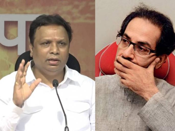 bjp leader ashish shelar slams state government over new project | समुद्राचं पाणी गोड करण्याचा प्रकल्प मुंबईकरांना परवडणार का?, भाजपचा सवाल bjp leader ashish shelar slams state government over new project | समुद्राचं पाणी गोड करण्याचा प्रकल्प मुंबईकरांना परवडणार का?, भाजपचा सवाल