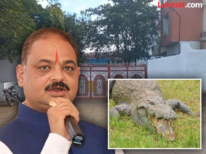 MP News , Former BJP MLA kept crocodiles at home; Income Tax team shocked | भाजपच्या माजी आमदाराने घरात पाळल्या मगरी; आयकर पथकाला बसला धक्का...