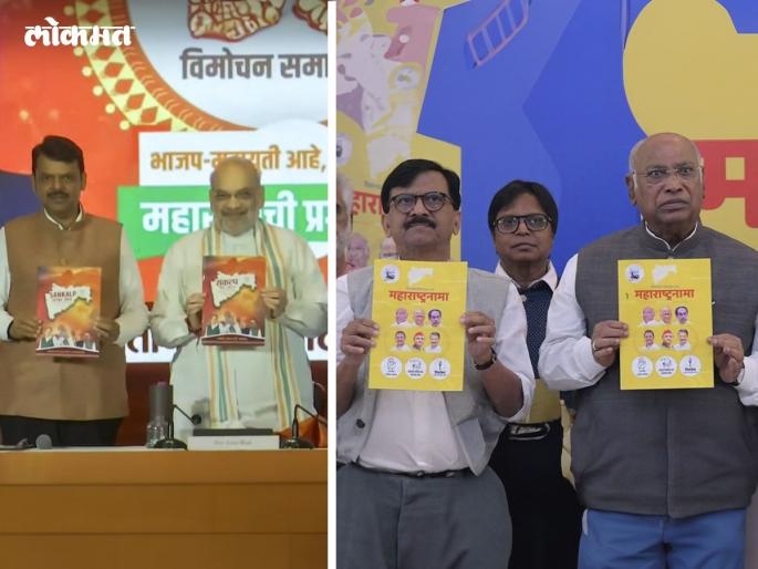 BJP and MVA Manifesto: Focus on Farmers and Women; Check out the major promises made by BJP and Mva in their manifesto | शेतकरी अन् महिलांवर फोकस; पाहा भाजप आणि मविआच्या जाहीरनाम्यातील प्रमुख आश्वासने BJP and MVA Manifesto: Focus on Farmers and Women; Check out the major promises made by BJP and Mva in their manifesto | शेतकरी अन् महिलांवर फोकस; पाहा भाजप आणि मविआच्या जाहीरनाम्यातील प्रमुख आश्वासने