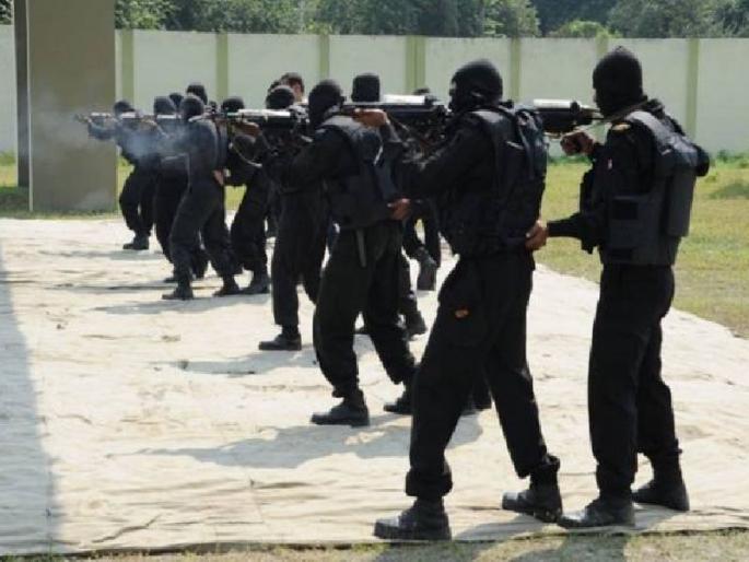 Think about the deployment of the black cat commandos in the Kashmir Valley | काश्मीरमध्ये तैनात होणार दहशतवाद्यांचे कर्दनकाळ, ब्लॅक कॅट कमांडोंच्या तैनातीबाबत विचार Think about the deployment of the black cat commandos in the Kashmir Valley | काश्मीरमध्ये तैनात होणार दहशतवाद्यांचे कर्दनकाळ, ब्लॅक कॅट कमांडोंच्या तैनातीबाबत विचार