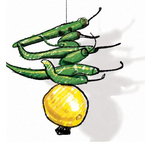 Attempt to kill with witchcraft in Nagpur | नागपुरात जादूटोणा करून मारण्याचा प्रयत्न Attempt to kill with witchcraft in Nagpur | नागपुरात जादूटोणा करून मारण्याचा प्रयत्न