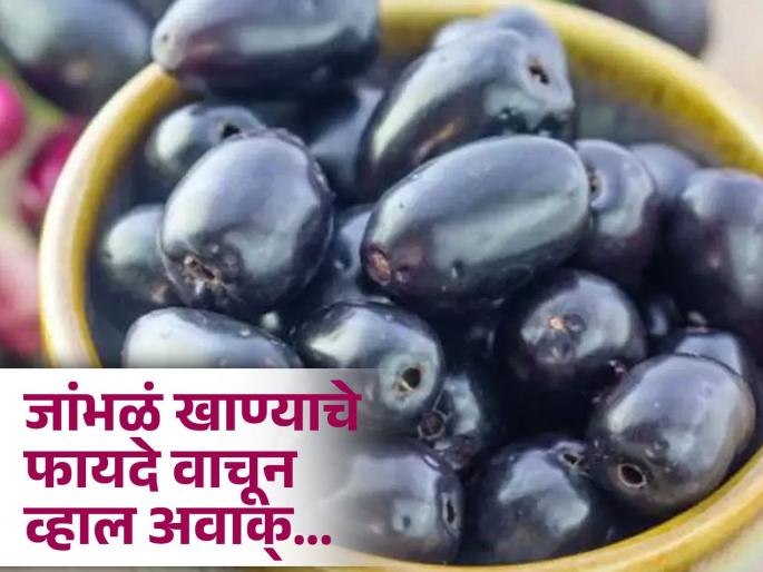Black plum is beneficial in piles stones and kidney diseases, know benefits | लिव्हर आणि किडनीसाठी फायदेशीर ठरतात जांभळं, जाणून घ्या कसं कराल सेवन! Black plum is beneficial in piles stones and kidney diseases, know benefits | लिव्हर आणि किडनीसाठी फायदेशीर ठरतात जांभळं, जाणून घ्या कसं कराल सेवन!