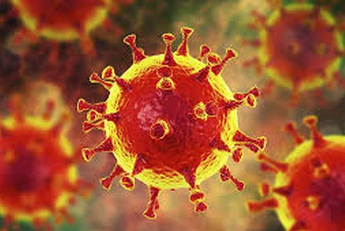 Coronavirus: 10 new positive in bulldozer | CoronaVirus : बुलडाण्यात १० नवे पॉझिटिव्ह Coronavirus: 10 new positive in bulldozer | CoronaVirus : बुलडाण्यात १० नवे पॉझिटिव्ह