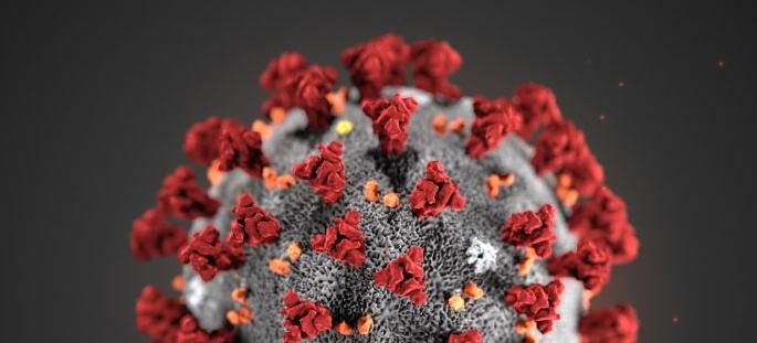 Corona: Two deaths concealed in Buldana district? | कोरोना : बुलडाणा जिल्ह्यात दोन मृत्यूची लपवाछपवी? Corona: Two deaths concealed in Buldana district? | कोरोना : बुलडाणा जिल्ह्यात दोन मृत्यूची लपवाछपवी?