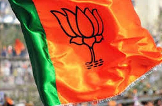BJP's foundation stone for local body elections | स्थानिक स्वराज्य संस्थांच्या निवडणुकांसाठी भाजपची पायाभरणी