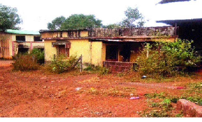The tahsildar's residence is locked in the bush and shrubs | तहसीलदारांचे निवासस्थान झाडा-झुडपांच्याआड कुलूपबंद The tahsildar's residence is locked in the bush and shrubs | तहसीलदारांचे निवासस्थान झाडा-झुडपांच्याआड कुलूपबंद