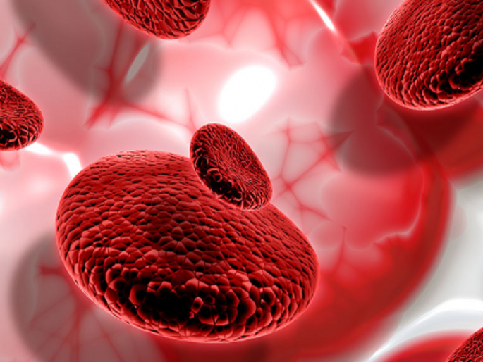 Abba..! Thalassemia patients increased by one and a half times in seven years; No need to take blood every month | अबब..! सात वर्षांत दीड पटीने वाढले थॅलेसेमियाग्रस्त; दर महिन्याला रक्त घेण्याची नामुष्की Abba..! Thalassemia patients increased by one and a half times in seven years; No need to take blood every month | अबब..! सात वर्षांत दीड पटीने वाढले थॅलेसेमियाग्रस्त; दर महिन्याला रक्त घेण्याची नामुष्की