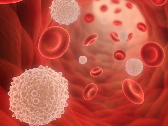 Iron deficiency in children can lead to risk of pediatric blood cell disorder | आयर्नची कमतरता लहान मुलांसाठी धोक्याची घंटा, वाढतो या गंभीर आजाराचा धोका! Iron deficiency in children can lead to risk of pediatric blood cell disorder | आयर्नची कमतरता लहान मुलांसाठी धोक्याची घंटा, वाढतो या गंभीर आजाराचा धोका!