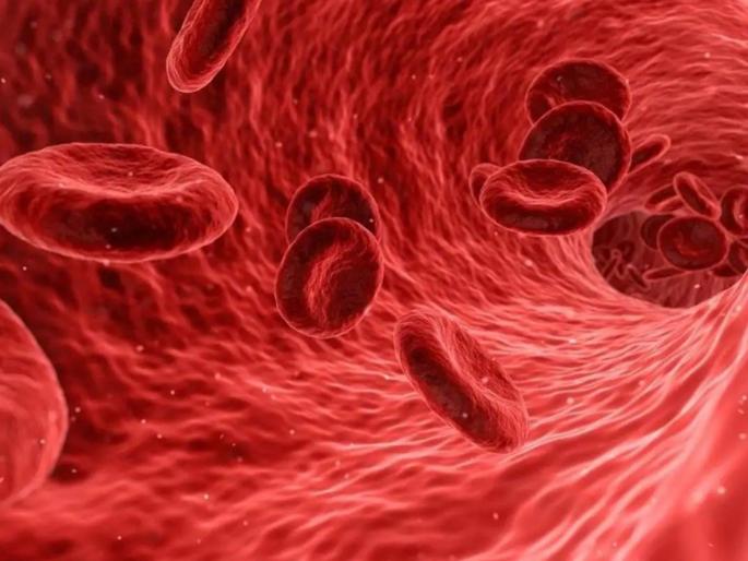 remedies to clean or detox your blood | अशुद्ध रक्तामुळे निर्माण होऊ शकतात गंभीर समस्या, वेळीच या सोप्या उपायांचा करा उपयोग remedies to clean or detox your blood | अशुद्ध रक्तामुळे निर्माण होऊ शकतात गंभीर समस्या, वेळीच या सोप्या उपायांचा करा उपयोग