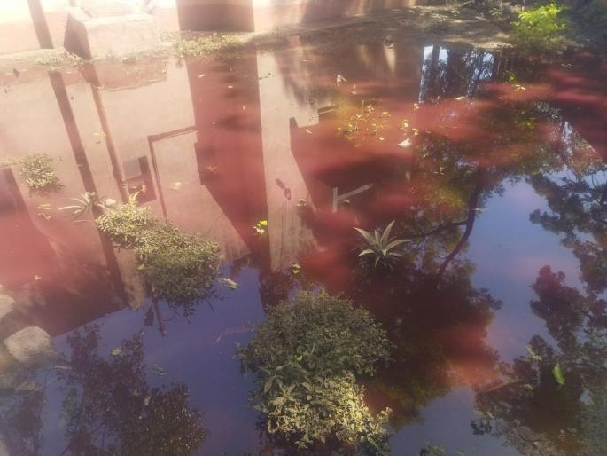 Slaughterhouse Red Water in Army Girls Hostel; Students' health is at risk | सैनिकी मुलींच्या वसतिगृहात कत्तलखान्याचे लाल पाणी; विद्यार्थिनींचे आरोग्य धोक्यात Slaughterhouse Red Water in Army Girls Hostel; Students' health is at risk | सैनिकी मुलींच्या वसतिगृहात कत्तलखान्याचे लाल पाणी; विद्यार्थिनींचे आरोग्य धोक्यात
