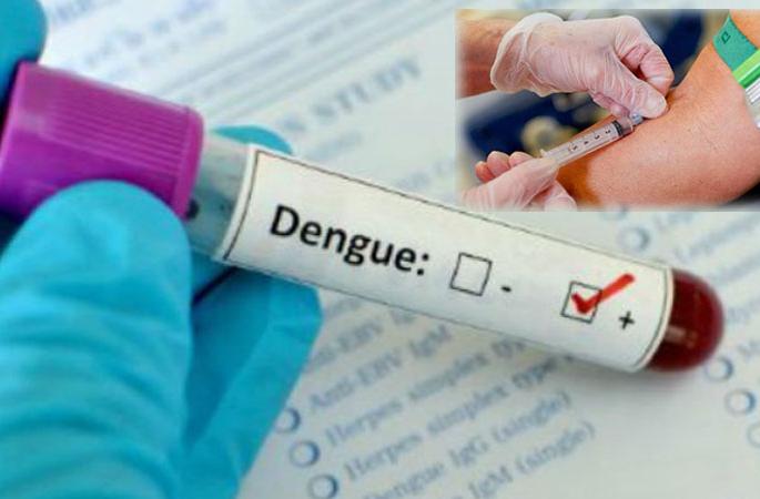 'Sero' survey in Akola for Dengue Prevention vaccine | डेंग्यू प्रतिबंधक लस साठी अकोल्यात ‘सेरो’ सर्वेक्षण 'Sero' survey in Akola for Dengue Prevention vaccine | डेंग्यू प्रतिबंधक लस साठी अकोल्यात ‘सेरो’ सर्वेक्षण
