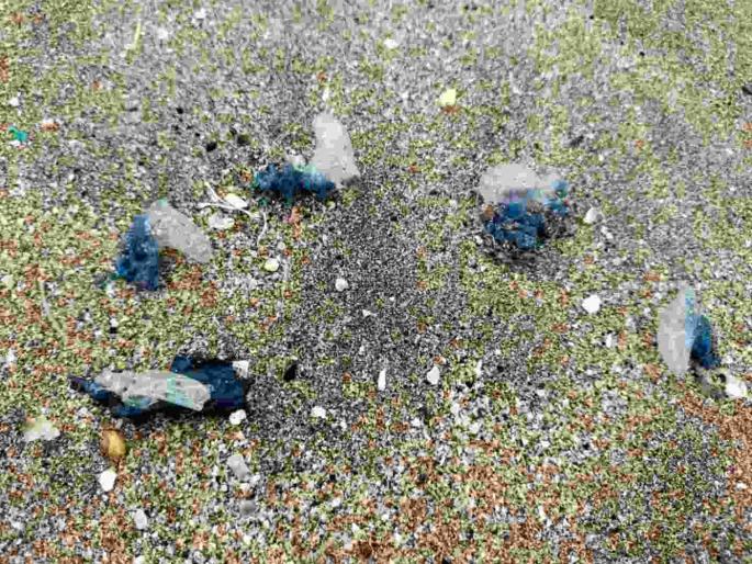 Arrival of Blue Bottle Jelly Fish on Mumbai Beaches | मुंबईच्या समुद्र किनाऱ्यावर ब्ल्यू बॉटल जेली फीशचे आगमन; समुद्रात न उतरण्याचे आवाहन Arrival of Blue Bottle Jelly Fish on Mumbai Beaches | मुंबईच्या समुद्र किनाऱ्यावर ब्ल्यू बॉटल जेली फीशचे आगमन; समुद्रात न उतरण्याचे आवाहन