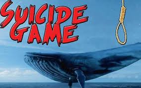 Advisory committees in schools now to prevent kids from playing Blue Whale! | ब्लू व्हेल गेमपासून मुलांना रोखण्यासाठी आता शाळांमध्ये सल्लागार समित्या!