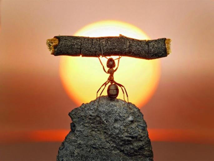 Success Mantra: If you practice this one thing, you can make any of your dreams come true! | Success Mantra: 'या' एका गोष्टीचा सराव केलात, तर तुम्ही तुमचं कोणतंही स्वप्नं सत्यात उतरवू शकता! Success Mantra: If you practice this one thing, you can make any of your dreams come true! | Success Mantra: 'या' एका गोष्टीचा सराव केलात, तर तुम्ही तुमचं कोणतंही स्वप्नं सत्यात उतरवू शकता!