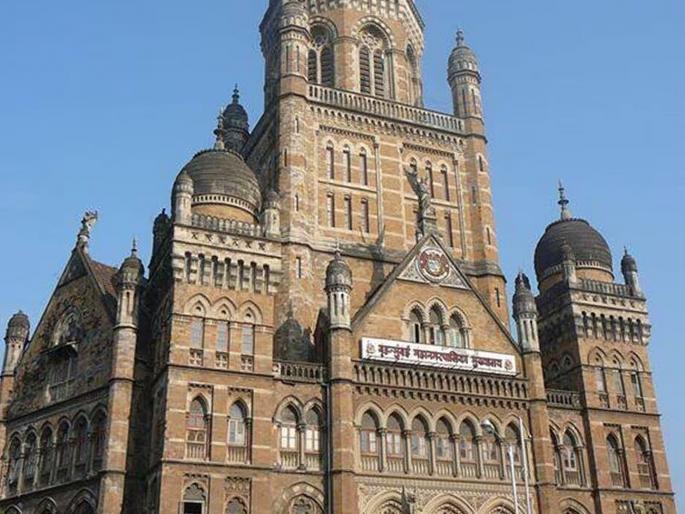 New reservation for municipal elections; 17 seats for Scheduled Castes and Scheduled Tribes? | पालिका निवडणुकीसाठी नव्याने आरक्षण; अनु. जाती आणि अनु. जमातींसाठी १७ जागा? 