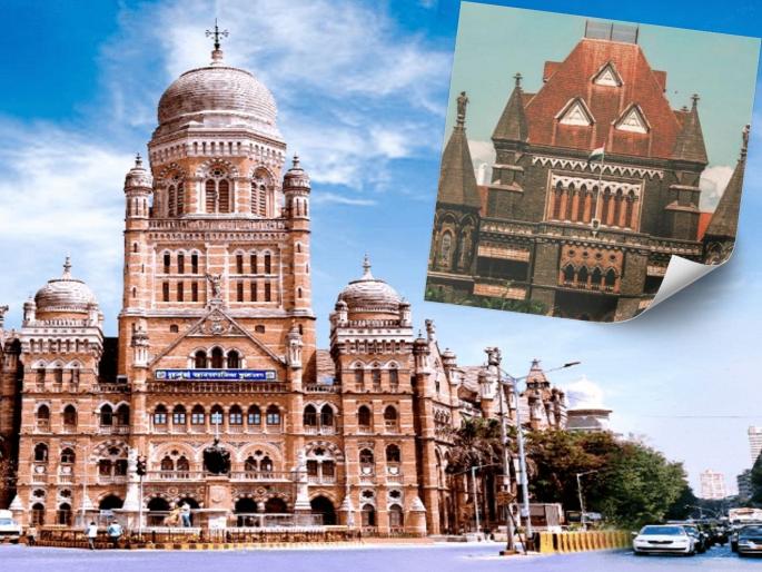 Hearing begins on challenge to ward reorganization; What did the petitioners say in the Mumbai High Court? | प्रभाग पुनर्रचनेला आव्हान, सुनावणीला सुरुवात; मुंबई उच्च न्यायालयात याचिकाकर्त्यांनी काय सांगितलं? 