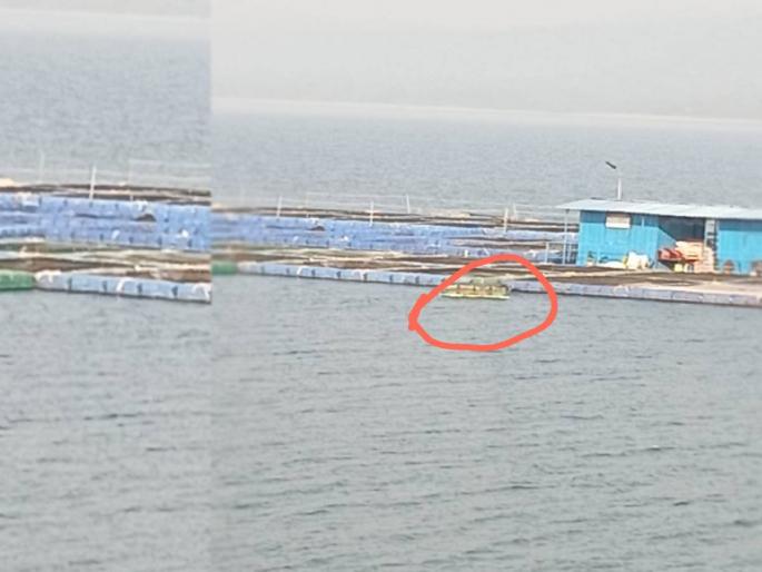 Accident of fisheries officers, one dies while disembarking, four children survive |  मत्स्य अधिकाऱ्यांचा अपघात, बोटितून उतरताना एकाचा मृत्यू चौघे बालंबाल बचावले; रात्रीची तपासणी बेतली जिवावर  Accident of fisheries officers, one dies while disembarking, four children survive |  मत्स्य अधिकाऱ्यांचा अपघात, बोटितून उतरताना एकाचा मृत्यू चौघे बालंबाल बचावले; रात्रीची तपासणी बेतली जिवावर