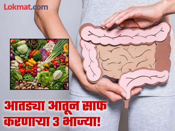 Ayurveda doctor tells add these vegetables in your diet to clean intestines naturally | आयुर्वेदिक डॉक्टरांनी सांगितलं 'या' तीन भाज्यांचं नियमित करा सेवन, पोटातील विषारी पदार्थ येतील बाहेर Ayurveda doctor tells add these vegetables in your diet to clean intestines naturally | आयुर्वेदिक डॉक्टरांनी सांगितलं 'या' तीन भाज्यांचं नियमित करा सेवन, पोटातील विषारी पदार्थ येतील बाहेर