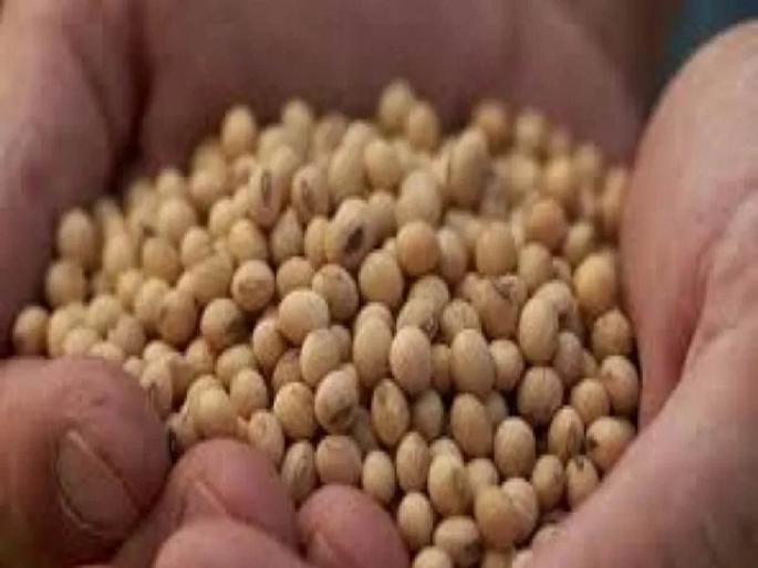 When will the betrayal with Baliraja stop? 1085 complaints; 9948 bags of bogus seeds seized | बळीराजाशी गद्दारी थांबणार तरी कधी? १०८५ तक्रारी; ९९४८ बॅग बोगस बियाणे जप्त When will the betrayal with Baliraja stop? 1085 complaints; 9948 bags of bogus seeds seized | बळीराजाशी गद्दारी थांबणार तरी कधी? १०८५ तक्रारी; ९९४८ बॅग बोगस बियाणे जप्त