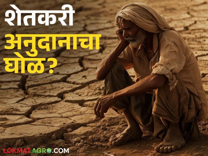 Shetkari Anudan: latest news There will be an inquiry into the distribution of subsidies to farmers; Find out what the case is in detail | Shetkari Anudan: शेतकऱ्यांच्या अनुदान वाटपाची होणार चौकशी; जाणून घ्या काय आहे प्रकरण सविस्तर