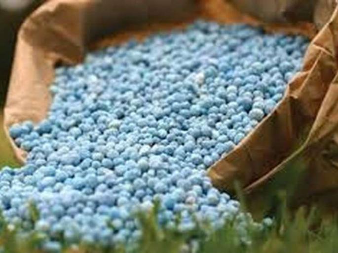 Bogus fertilizers, pesticides in vidarbha; Agricultural Department on alert | विदर्भात बोगस खते, कीटकनाशके; कृषी विभाग राबविणार धाडसत्र Bogus fertilizers, pesticides in vidarbha; Agricultural Department on alert | विदर्भात बोगस खते, कीटकनाशके; कृषी विभाग राबविणार धाडसत्र