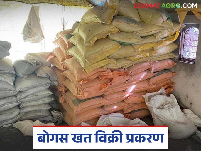 Bogus Fertilizer: latest news Bogus fertilizer stock seized in Himayatnagar; Read the case in detail | Bogus Fertilizer: हिमायतनगरमध्ये बोगस खताचा साठा जप्त; काय आहे प्रकरण वाचा सविस्तर Bogus Fertilizer: latest news Bogus fertilizer stock seized in Himayatnagar; Read the case in detail | Bogus Fertilizer: हिमायतनगरमध्ये बोगस खताचा साठा जप्त; काय आहे प्रकरण वाचा सविस्तर