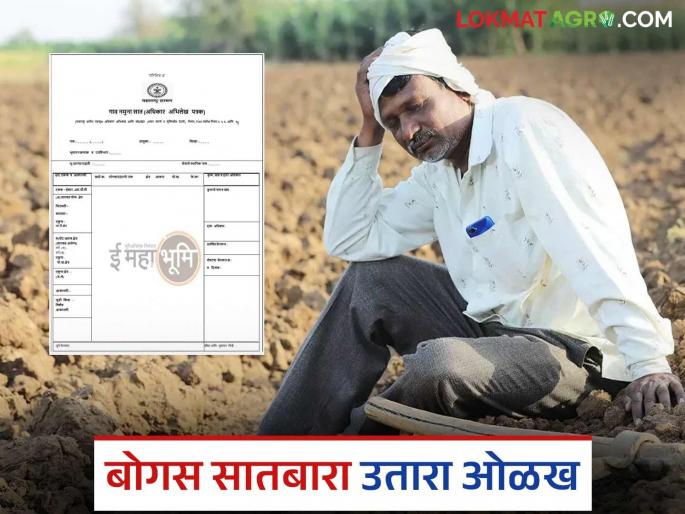 Latest News How to identify bogus Satbara Utara Check out these three things! | Bogus Satbara Utara : बोगस सातबारा उतारा कसा ओळखायचा? 'या' तीन गोष्टी नक्की पहा!