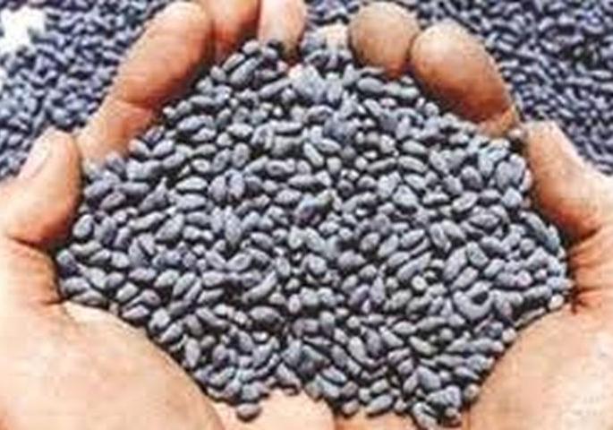 Bogus seeds increase farmer confusion! | बोगस बियाण्यावरून शेतकऱ्यांमध्ये वाढला संभ्रम! Bogus seeds increase farmer confusion! | बोगस बियाण्यावरून शेतकऱ्यांमध्ये वाढला संभ्रम!