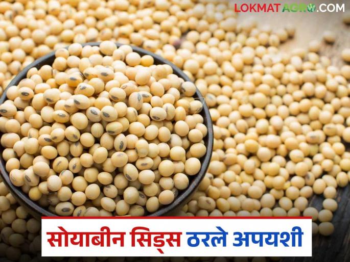 latest news Soybean Biyane Case: Farmers will get justice; Seeds failed, now they will get compensation Read in detail | Soybean Biyane Case: शेतकऱ्यांना मिळला न्याय; बियाणे फसले, आता भरपाई मिळणार वाचा सविस्तर