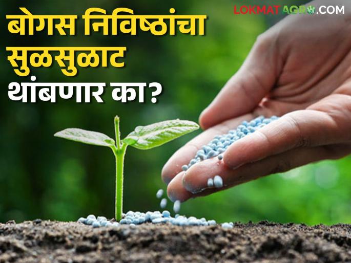 Bogus Agriculture Inputs : 43 samples from last year were uncertified; Will bogus inputs be curbed this year? Read in detail | Bogus Agriculture Inputs: गतवर्षीचे ४३ नमुने अप्रमाणित; यंदा बोगसगिरीला चाप बसणार का? वाचा सविस्तर Bogus Agriculture Inputs : 43 samples from last year were uncertified; Will bogus inputs be curbed this year? Read in detail | Bogus Agriculture Inputs: गतवर्षीचे ४३ नमुने अप्रमाणित; यंदा बोगसगिरीला चाप बसणार का? वाचा सविस्तर