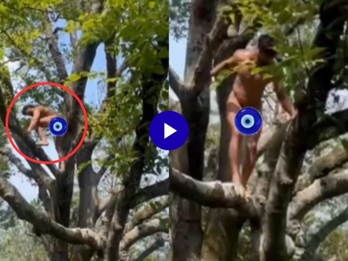 Bollywood actor vidyut jammwal climbed a tree naked for sahaja yog sadhana video viral | Video: बाबो! नग्न अवस्थेत झाडावर चढला 'हा' बॉलिवूड अभिनेता, कारण ऐकून थक्कच व्हाल Bollywood actor vidyut jammwal climbed a tree naked for sahaja yog sadhana video viral | Video: बाबो! नग्न अवस्थेत झाडावर चढला 'हा' बॉलिवूड अभिनेता, कारण ऐकून थक्कच व्हाल