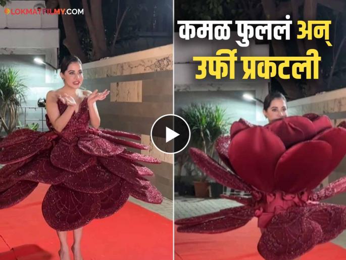bollywood actress Urfi Javed unique fashion is discussed video goes viral | कान्सला जाता आलं नाही म्हणून काय झालं! उर्फी जावेदच्या अनोख्या फॅशनची चर्चा, व्हिडीओ व्हायरल bollywood actress Urfi Javed unique fashion is discussed video goes viral | कान्सला जाता आलं नाही म्हणून काय झालं! उर्फी जावेदच्या अनोख्या फॅशनची चर्चा, व्हिडीओ व्हायरल