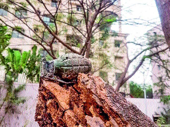 The police team took possession of the bomb, after the bomb found | बॉम्ब आढळल्याने खळबळ, पोलीस पथकाने घेतला ताबा The police team took possession of the bomb, after the bomb found | बॉम्ब आढळल्याने खळबळ, पोलीस पथकाने घेतला ताबा