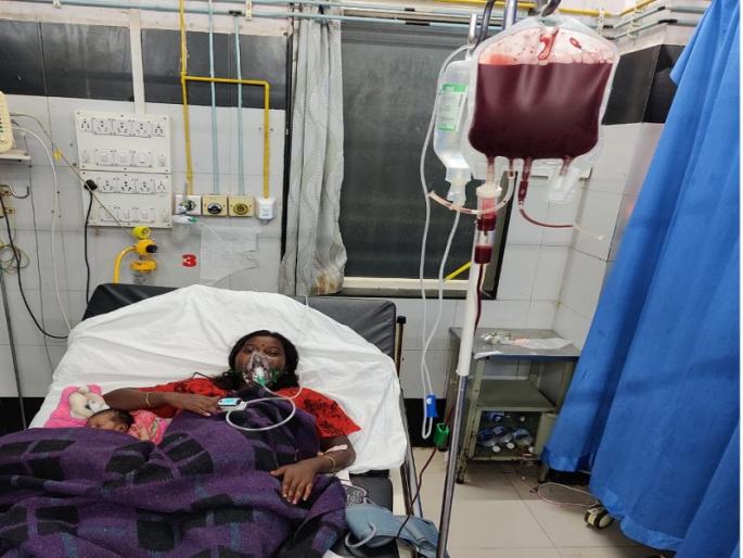 ... finally 'that' mother got blood of rare Bombay blood group | ...अखेर ‘त्या’ मातेला मिळाले दुर्मिळ बॉम्बे ब्लड ग्रुपचे रक्त ... finally 'that' mother got blood of rare Bombay blood group | ...अखेर ‘त्या’ मातेला मिळाले दुर्मिळ बॉम्बे ब्लड ग्रुपचे रक्त