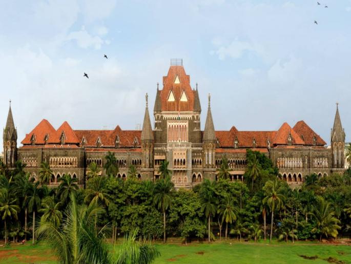 Rape victim allowed to abort 31-week pregnancy; High Court rules that reproductive freedom is supreme | बलात्कार पीडितेस ३१ आठवड्यांचा गर्भ पाडण्याची परवानगी; प्रजनन स्वातंत्र्य हे सर्वोच्च मानत हायकोर्टाचा निर्णय Rape victim allowed to abort 31-week pregnancy; High Court rules that reproductive freedom is supreme | बलात्कार पीडितेस ३१ आठवड्यांचा गर्भ पाडण्याची परवानगी; प्रजनन स्वातंत्र्य हे सर्वोच्च मानत हायकोर्टाचा निर्णय