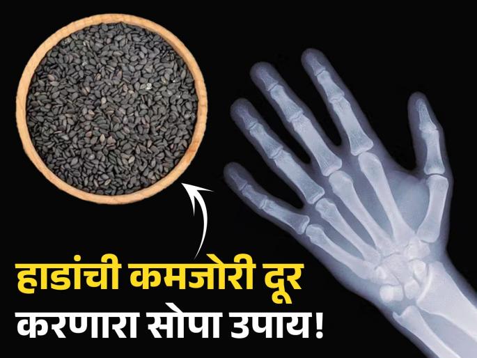 Include black sesame seeds in your diet to make 206 bones healthy | कॅल्शिअमची खाण आहेत 'या' काळ्या बीया, शरीरातील पूर्ण हाडे होतात मजबूत! Include black sesame seeds in your diet to make 206 bones healthy | कॅल्शिअमची खाण आहेत 'या' काळ्या बीया, शरीरातील पूर्ण हाडे होतात मजबूत!