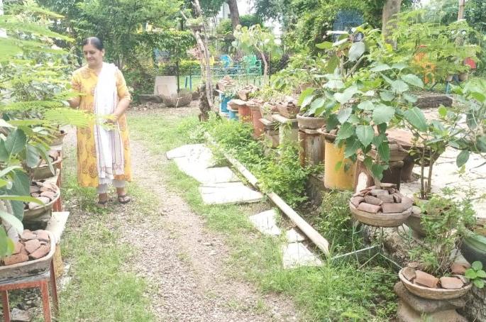 Created 50 'Bonsai' in 30 years! | ३० वर्षात तयार केले ५० ‘बोन्साय’! Created 50 'Bonsai' in 30 years! | ३० वर्षात तयार केले ५० ‘बोन्साय’!