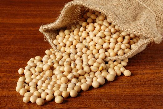 give a bonus of 1000 rupees for Soyabean demand towards chief minister | यंदा सोयाबीनसाठी एक हजार बोनस देण्यासाठी मुख्यमंत्र्यांकडे साकडे give a bonus of 1000 rupees for Soyabean demand towards chief minister | यंदा सोयाबीनसाठी एक हजार बोनस देण्यासाठी मुख्यमंत्र्यांकडे साकडे