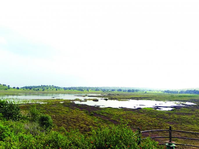 Rain fall in Asegaon area! | आसेगाव परिसरात पावसाची हुलकावणी! Rain fall in Asegaon area! | आसेगाव परिसरात पावसाची हुलकावणी!
