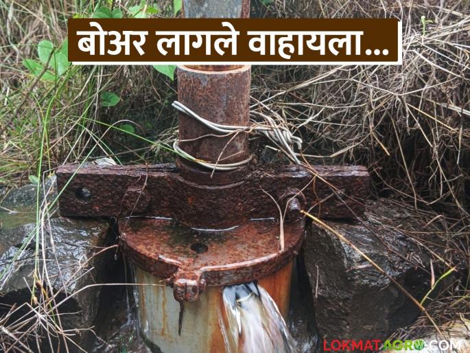 How much rain is this; water is flowing from a 110 foot well and a 500 foot deep borewell | अबब! किती हा पाऊस; चक्क ११० फूट विहीर अन् ५०० फूट खोल बोअरचे पाणी वाहतेय वरून