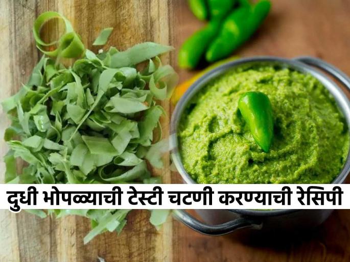 How to make chutney from bottle gourd peel recipe | दुधी भोपळ्याची साल कचरा म्हणून फेकता? या सालीची चटणी बनवून खाल तर कधी विसणार नाही टेस्ट How to make chutney from bottle gourd peel recipe | दुधी भोपळ्याची साल कचरा म्हणून फेकता? या सालीची चटणी बनवून खाल तर कधी विसणार नाही टेस्ट