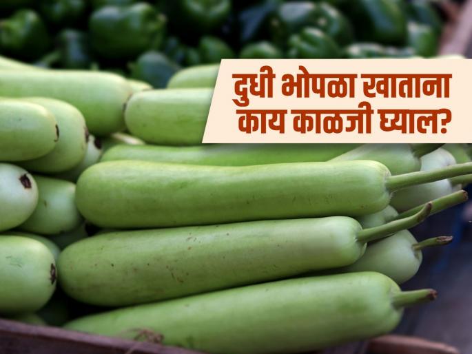 Harmful effects of eating bottle gourd and bitter gourd together | दुधी भोपळा खाताना महागात पडू शकते 'ही' चूक, जाणून घ्या होणारे गंभीर नुकसान!