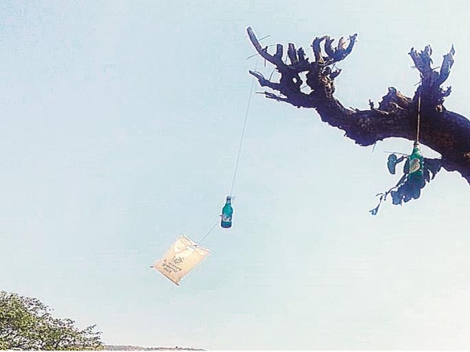 Grassroot Innovator: The ingenious use of a glass bottle for crop protection by the farmer | ग्रासरूट इनोव्हेटर : शेतकऱ्याने पीक संरक्षणासाठी काचेच्या बाटलीचा केला कल्पक वापर  