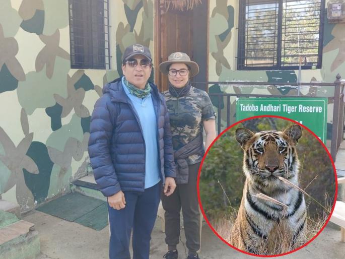 Sachin tendulkar was overwhelmed by the sight of the 'Big Five' tigers in tadoba tiger reserve | 'बिग फाईव्ह'च्या दर्शनाने सचिन भारावला; निमढेला गेट परिसरात वाघिणीसह चार बछड्यांचे दर्शन Sachin tendulkar was overwhelmed by the sight of the 'Big Five' tigers in tadoba tiger reserve | 'बिग फाईव्ह'च्या दर्शनाने सचिन भारावला; निमढेला गेट परिसरात वाघिणीसह चार बछड्यांचे दर्शन